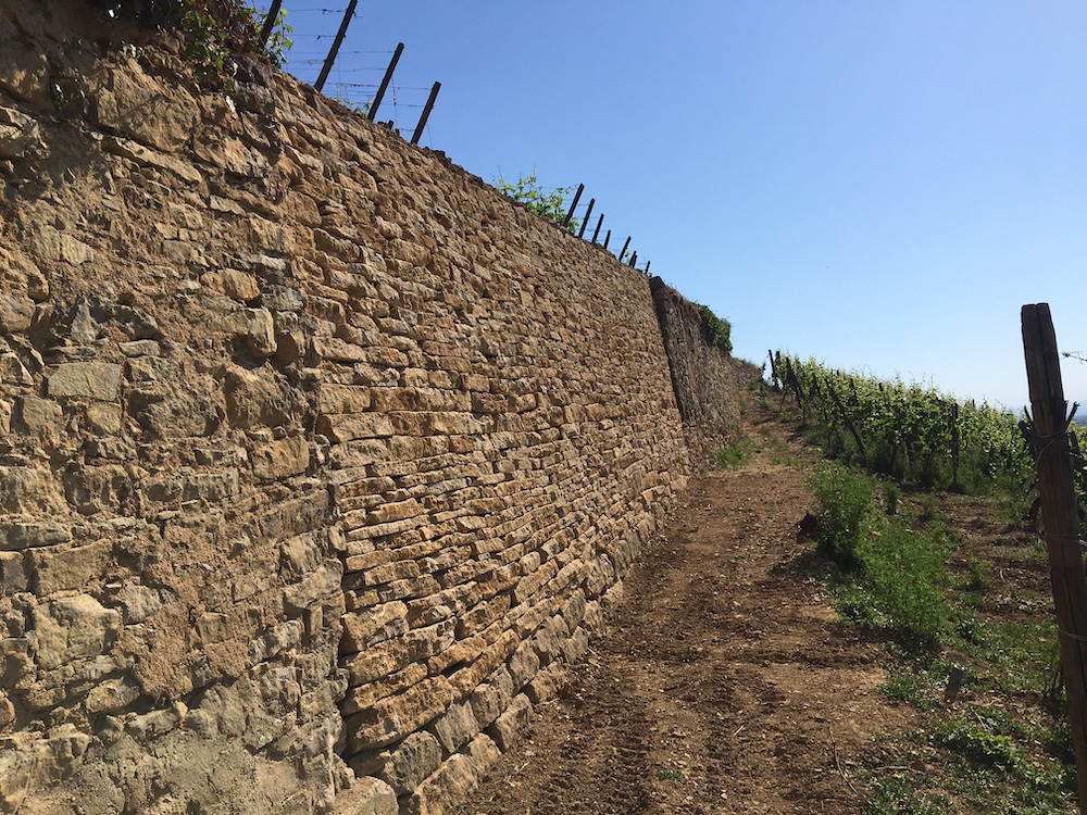 Mur Geisberg - Vins Kientzler ribeauviller